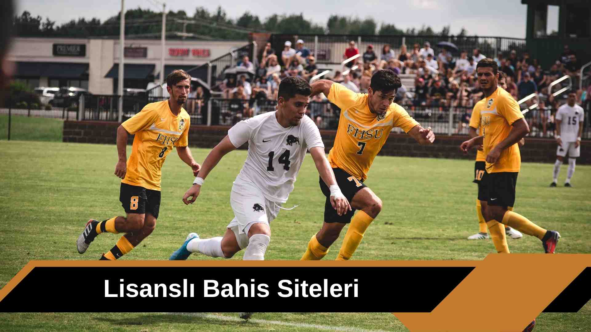 Lisanslı Bahis Siteleri